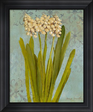 Framed Hyacinth on Teal II Print