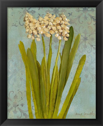 Framed Hyacinth on Teal II Print