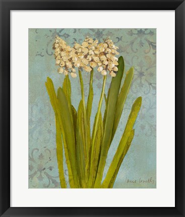 Framed Hyacinth on Teal II Print