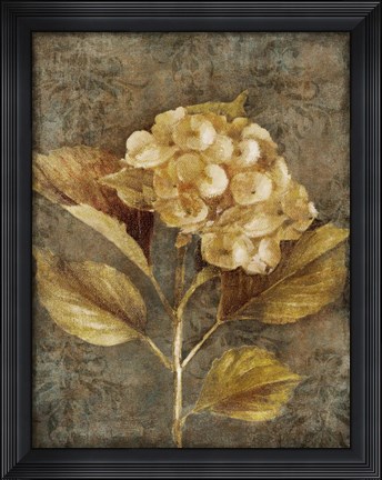 Framed Antique Hydrangea I Print