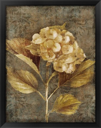 Framed Antique Hydrangea I Print