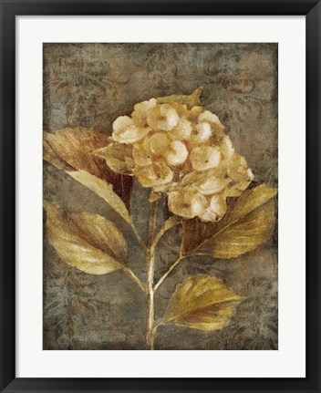 Framed Antique Hydrangea I Print