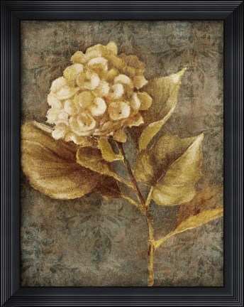 Framed Antique Hydrangea II Print