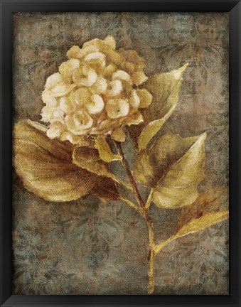 Framed Antique Hydrangea II Print