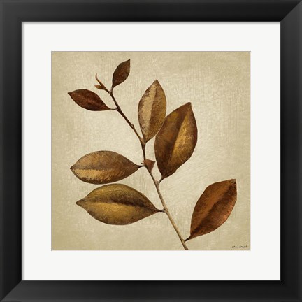 Framed Antiqued Leaves II Print