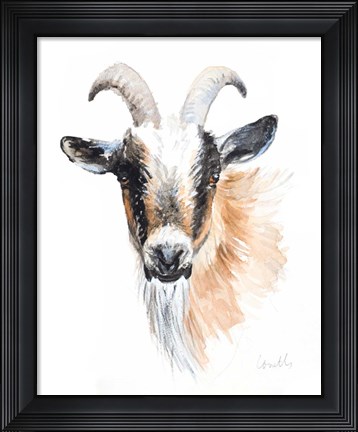 Framed Goat II Print