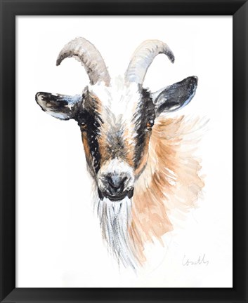 Framed Goat II Print