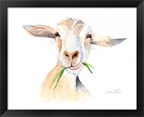 Framed Goat III Print