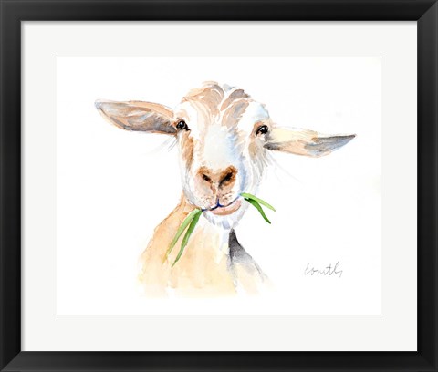 Framed Goat III Print