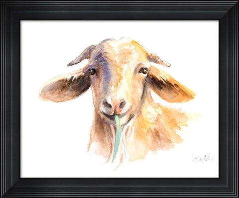 Framed Goat IV Print