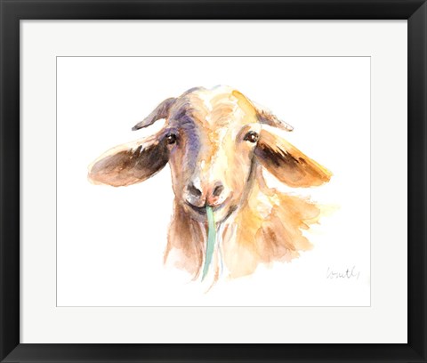 Framed Goat IV Print