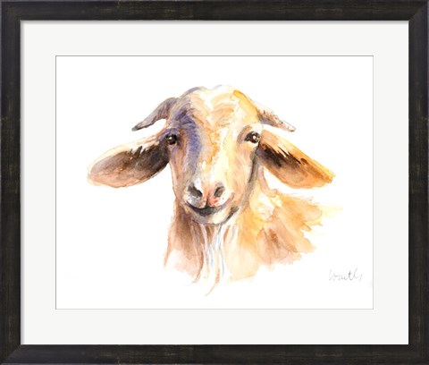 Framed Morning Goat Print