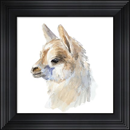 Framed Side Portrait Llama Print