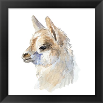 Framed Side Portrait Llama Print