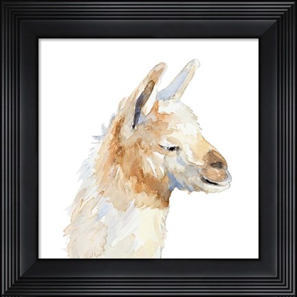 Framed Sleepy Llama Print