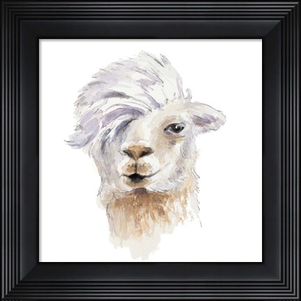 Framed Comb Over Llama Print