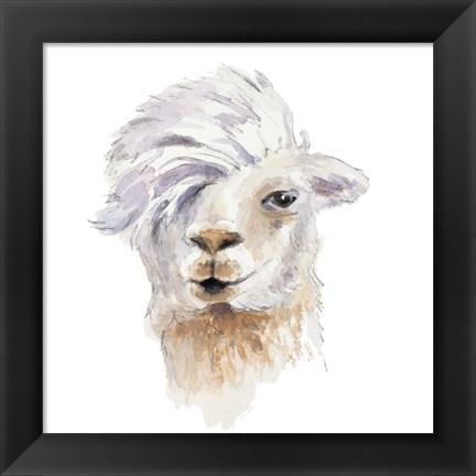 Framed Comb Over Llama Print