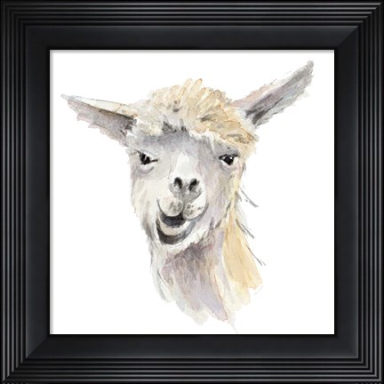 Framed Talking Llama Print