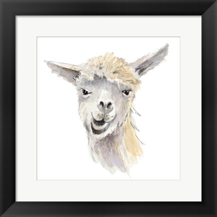 Framed Talking Llama Print