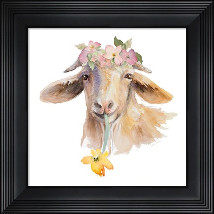 Framed Flower Goat Print