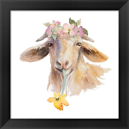 Framed Flower Goat Print