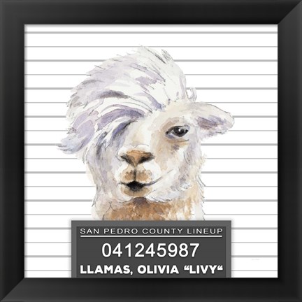 Framed Llamas Livy Print