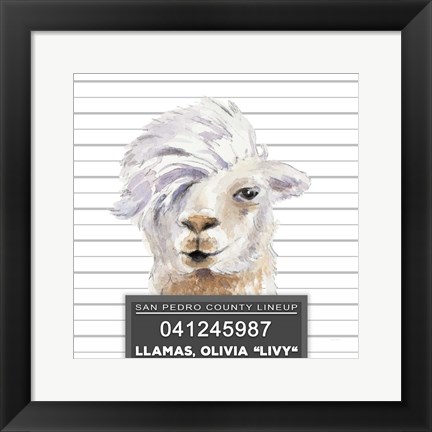 Framed Llamas Livy Print