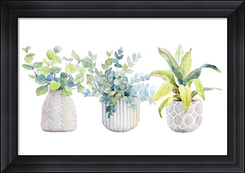 Framed Decorative Plant Arrangement I Print