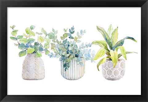 Framed Decorative Plant Arrangement I Print