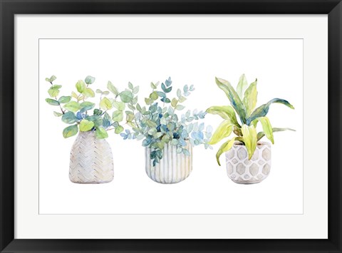 Framed Decorative Plant Arrangement I Print