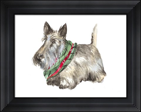 Framed Black Scotty Print