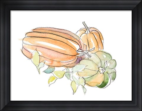Framed Harvest Pumpkin and Squash I Print
