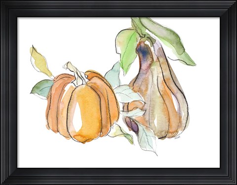 Framed Harvest Pumpkin and Squash II Print