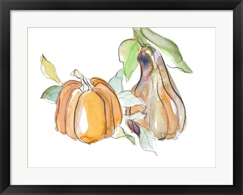 Framed Harvest Pumpkin and Squash II Print