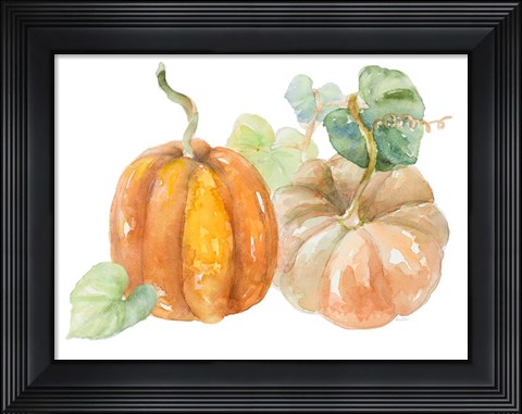 Framed Pumpkin Harvest I Print