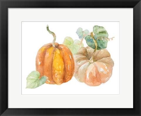 Framed Pumpkin Harvest I Print