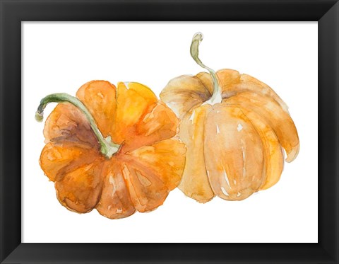 Framed Pumpkin Harvest II Print