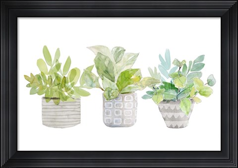 Framed Decorative Plant Arrangement II Print