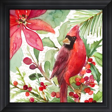 Framed Poinsettia and Cardinal I Print