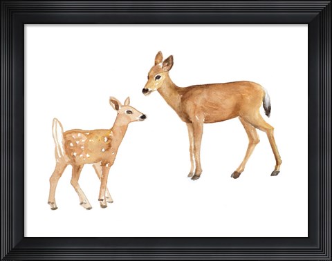 Framed Two Young Deer Print