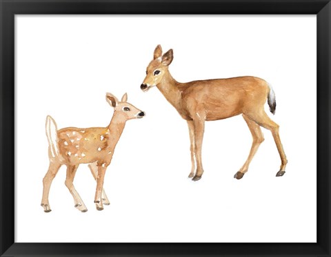 Framed Two Young Deer Print