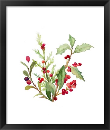 Framed Holly Branches I Print