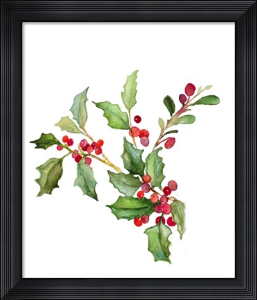 Framed Holly Branches II Print