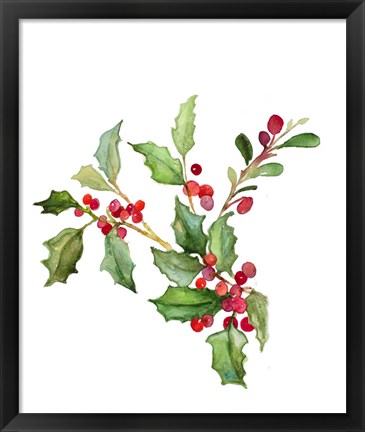 Framed Holly Branches II Print