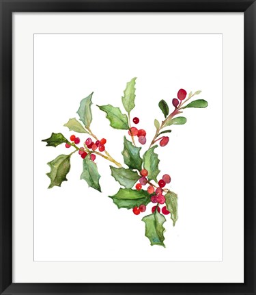 Framed Holly Branches II Print