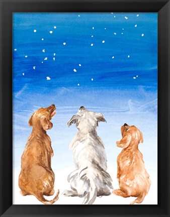 Framed Three Dogs Star Gazing Print