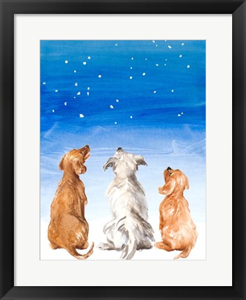 Framed Three Dogs Star Gazing Print