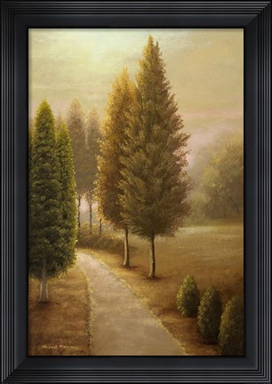 Framed Auburn I Print