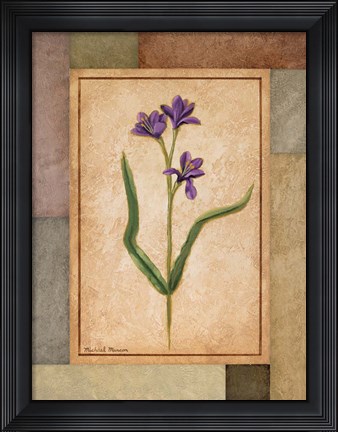 Framed Changing Colors II Print