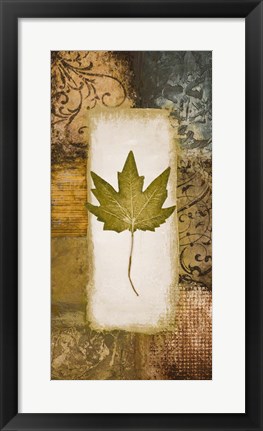 Framed Single Leaf II Print